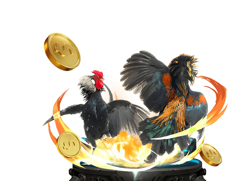 Trường gà đá gà trực tiếp SV388